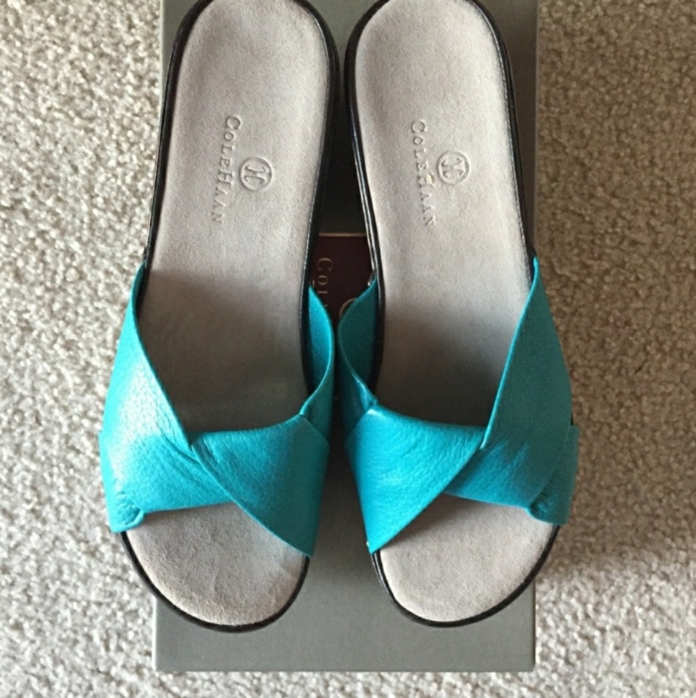 Cole Haan Turquoise Sandals